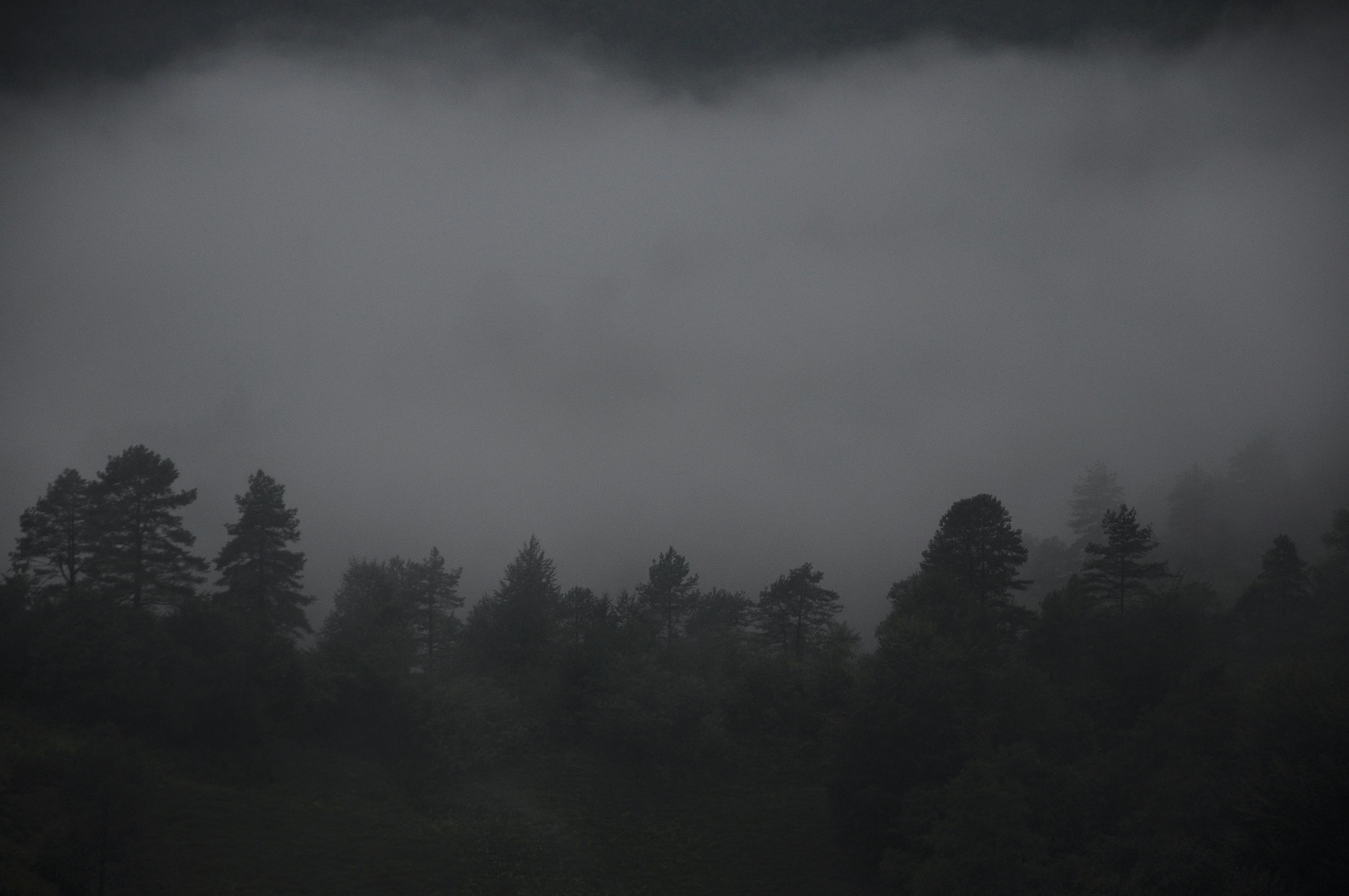 Nova Scotia backdrop